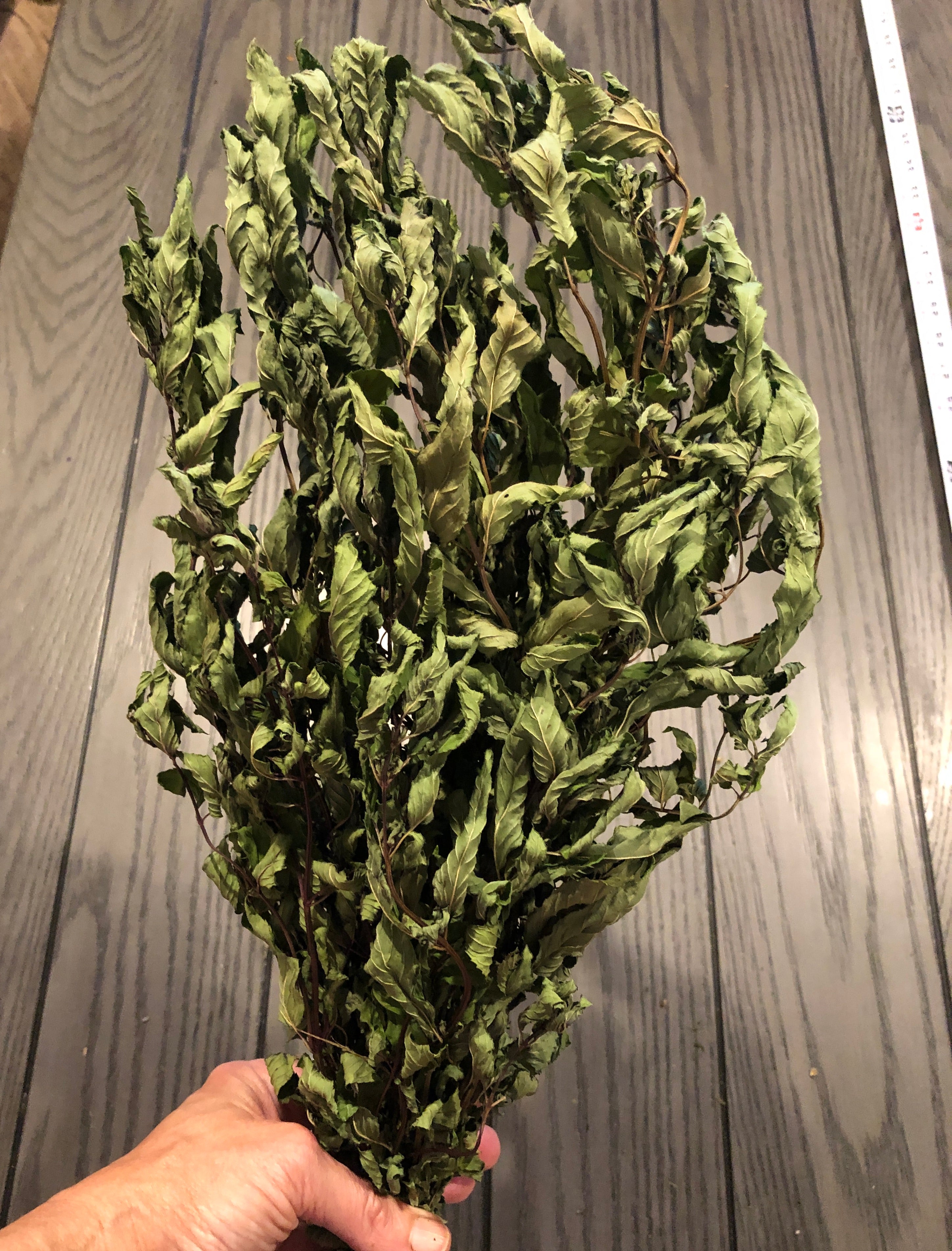 Fresh DRIED Whole Herb~ Chocolate Peppermint~ Tied Bundle 22" Long~Medicinal/Tea
