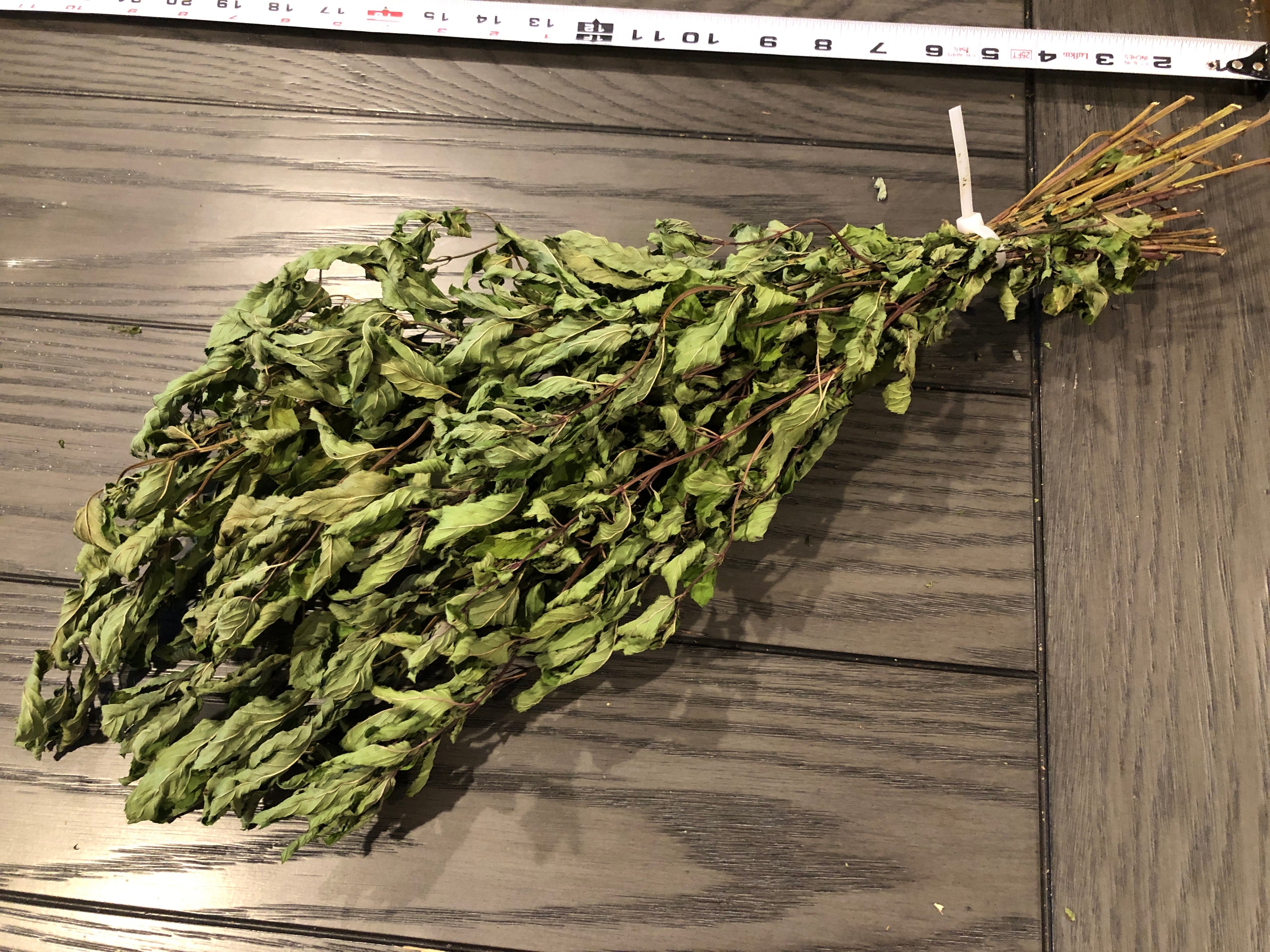 Fresh DRIED Whole Herb~ Chocolate Peppermint~ Tied Bundle 22" Long~Medicinal/Tea