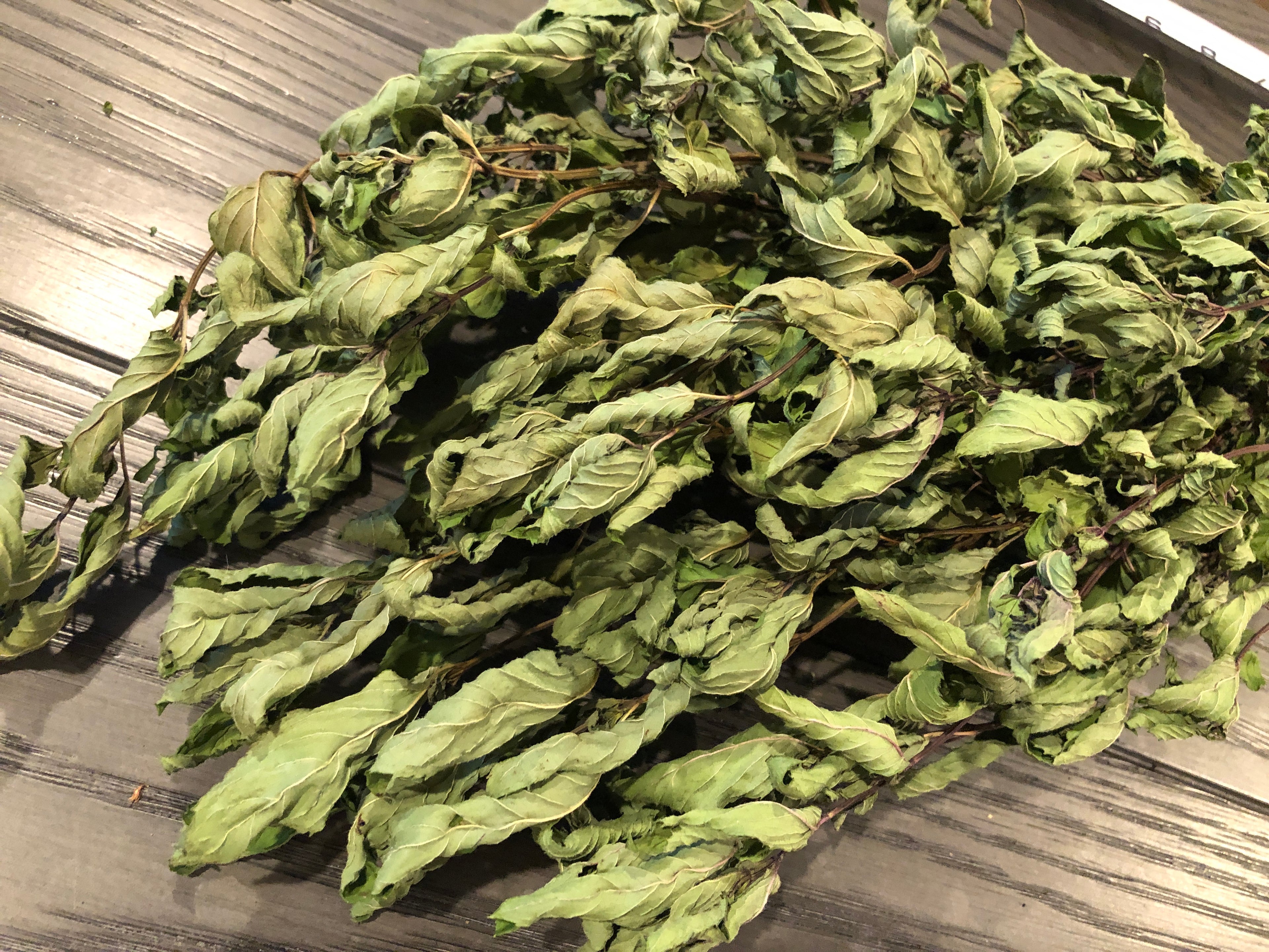 Fresh DRIED Whole Herb~ Chocolate Peppermint~ Tied Bundle 22" Long~Medicinal/Tea