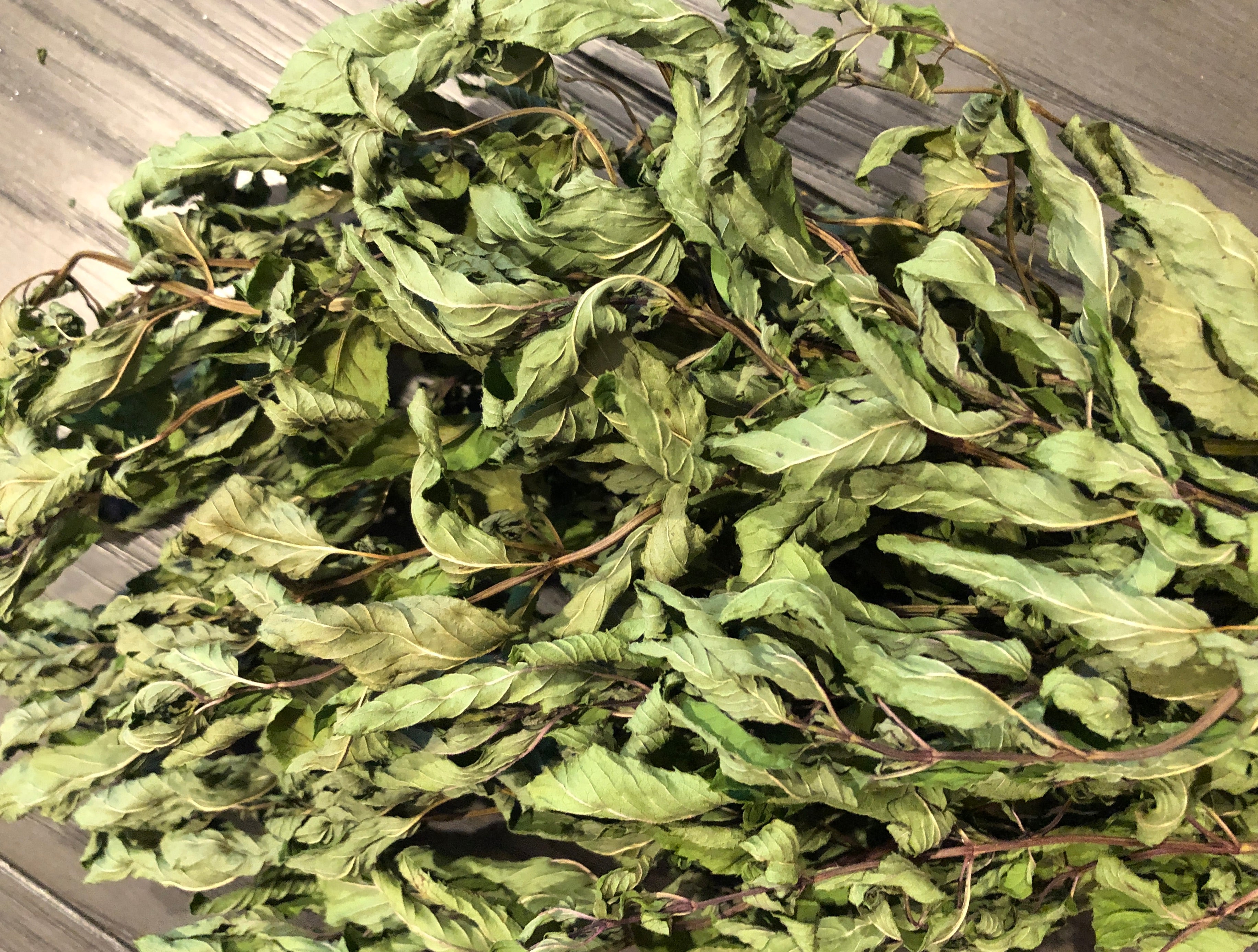 Fresh DRIED Whole Herb~ Chocolate Peppermint~ Tied Bundle 22" Long~Medicinal/Tea