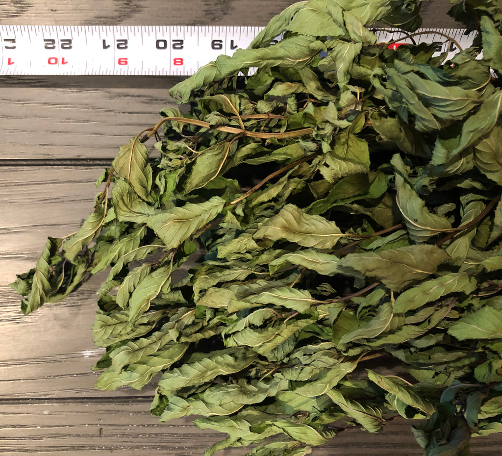 Fresh DRIED Whole Herb~ Chocolate Peppermint~ Tied Bundle 22" Long~Medicinal/Tea